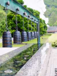 Finding Peace at Tsz Shan Monastery: A Spiritual Retreat