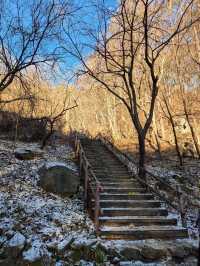 🌲 신년맞이 초보자도 즐길수 있는 겨울여행 광덕산 🌲