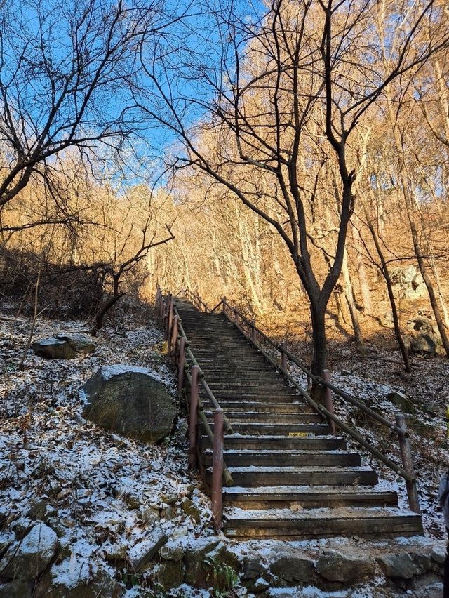 🌲 신년맞이 초보자도 즐길수 있는 겨울여행 광덕산 🌲