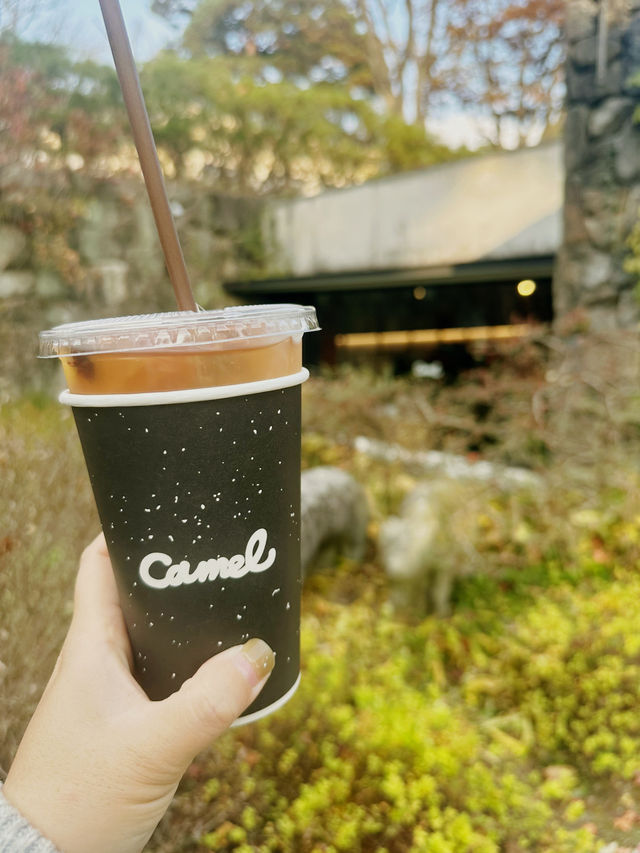 미술관에 있는 특별한 카페 ‘카멜커피 호암미술관점’ ☕️🍁