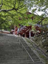 Tanzan Jinjia, Japan