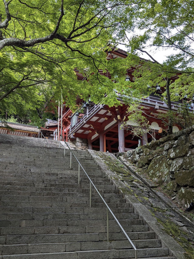 Tanzan Jinjia, Japan