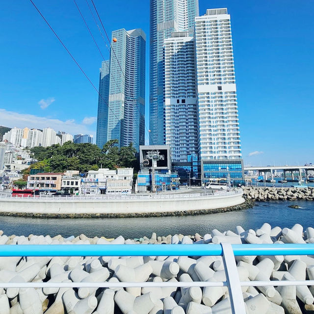 A Thrill Above the Sea at Songdo Cloud Walk 🇰🇷