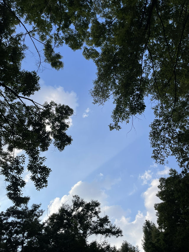 💚자연속 힐링 서울숲🌳