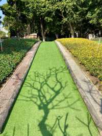 🚶‍♀️‍➡️🌸 人在花叢中｜香港賞花野餐首選海濱公園🥇🌹🌈