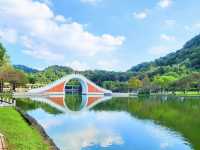 台北大湖公園-碧綠的湖水、豐富的生態環境、四周綠意盎然