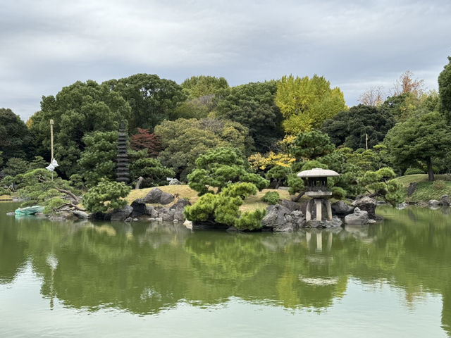 東京 - 清澄庭園的夢幻之旅 🌸