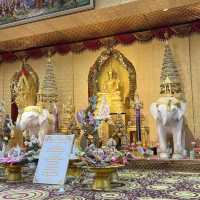 💫วัดพระธาตุผาซ่อนแก้ว✨