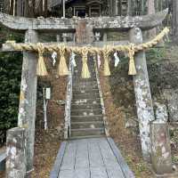 ☾︎長崎☽︎ 全国に点在する月讀神社の総本社