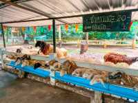 ถ้ำเขาบิน ราชบุรี