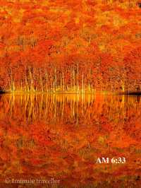 蔦沼の紅葉、撮影のベストタイミングは日の出から約30分間