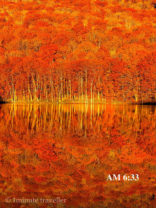 蔦沼の紅葉、撮影のベストタイミングは日の出から約30分間