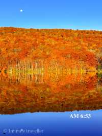 蔦沼の紅葉、撮影のベストタイミングは日の出から約30分間
