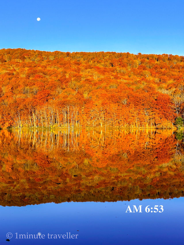 蔦沼の紅葉、撮影のベストタイミングは日の出から約30分間