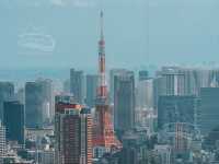 Shibuya SKY ตึกสูงสุดใจกลางโตเกียว