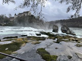 德國、瑞士和法國的家庭公路旅行創造美好時刻