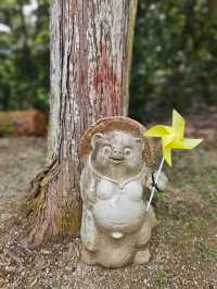 【リスがたくさん？！癒しとかわいいが詰まった神社】