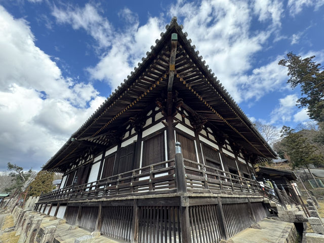 🕊️東大寺：千年古寺的莊嚴與感動🕊️