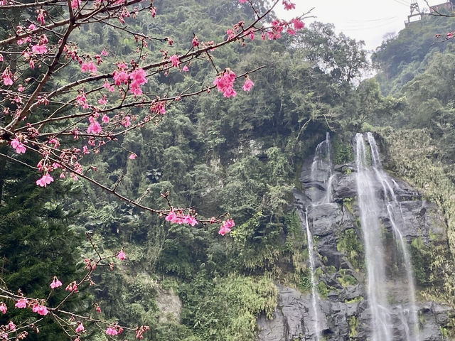 信賢步道看瀑布群輕鬆走
