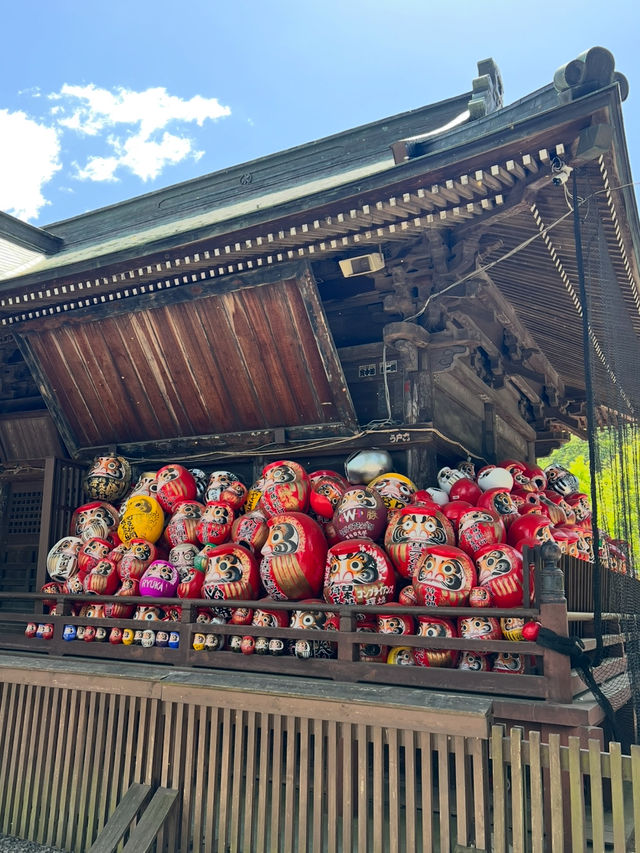 Shorinzan Daruma-ji วัดแห่งดารุมะ 🎏