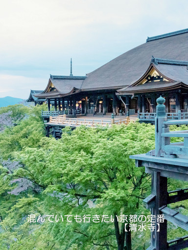 混んでいても行きたい京都の定番【清水寺】 | Trip.com 京都