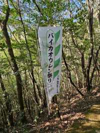 【朝ドラ春欄間好きは絶対行って！】