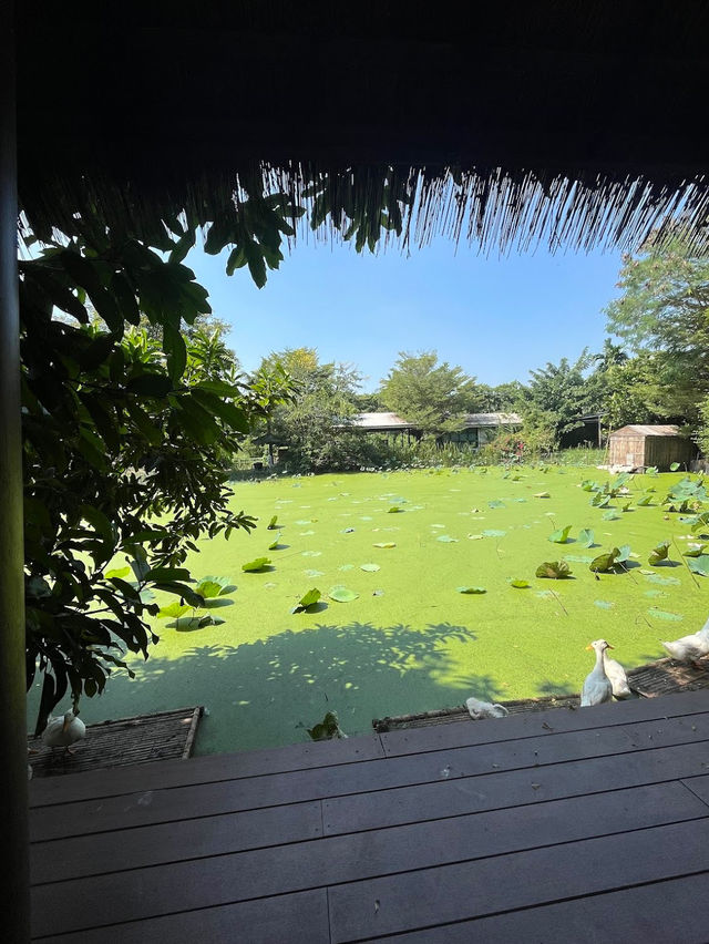 Dubua Cafe ดูบัวคาเฟ่