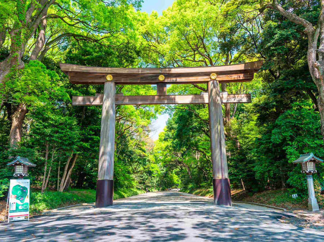 日本跨年行程 | 明治神宮