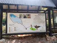 Tha Pai Hot Spring น้ำพุร้อนท่าปาย แม่ฮ่องสอน