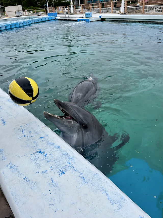 Yokohama Hakkeijima Sea Paradise 