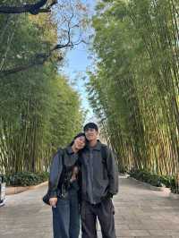 A Perfect Day at Cuihu Park (翠湖) – My Favorite Kunming Itinerary