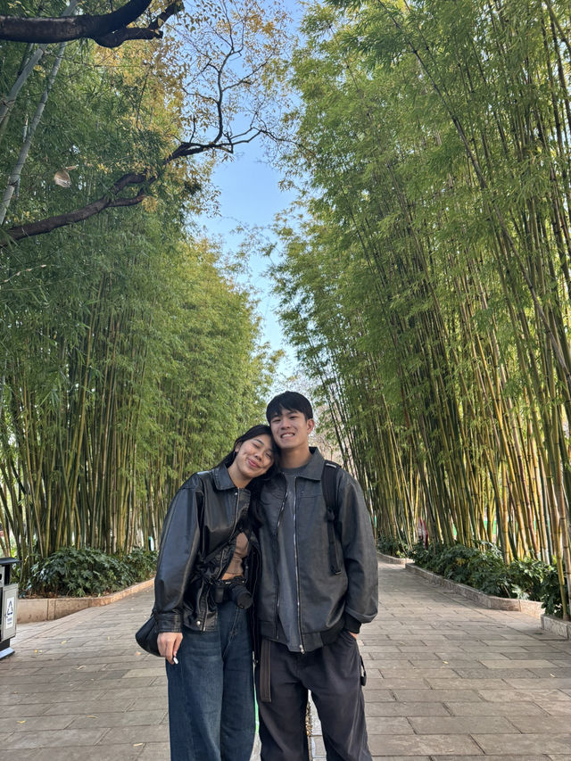 A Perfect Day at Cuihu Park (翠湖) – My Favorite Kunming Itinerary