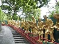 10,000 Buddhas, One Journey: A Peaceful Escape in Sha Tin