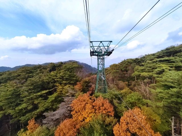 有馬溫泉纜車，秋楓繽紛的空中仙境。