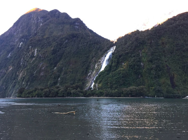 Milford Sound นิวซีแลนด์