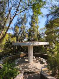 水庫公園對上的小小格仔山丘