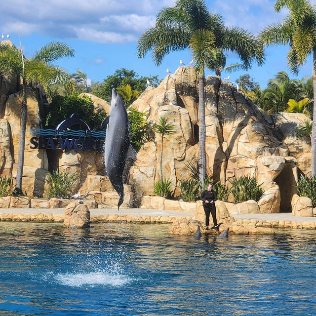 Dive into Adventure: Sea World Gold Coast