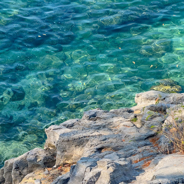 เกาะสีชัง ช่วงนี้น้ำใส ทะเลสวยมากๆ 🌊🏝️🩵