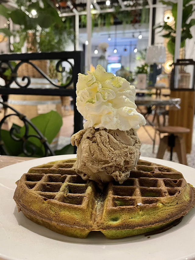 Romantic Vibes and Delicious Bites: A Date Night at Knots Living Café