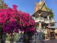 วัดภูเก็ตแต่อยู่น่าน-วิวอลังการต้องไม่พลาด