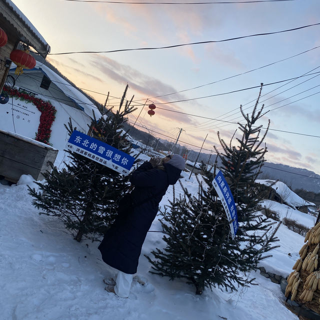 2 Day In snow Village 