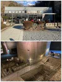【栃木/宇都宮】関東地下に広がる巨大な地下採掘エリア＊大谷資料館＊