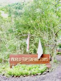 World Top Safari Stay In Bali 🦍✨