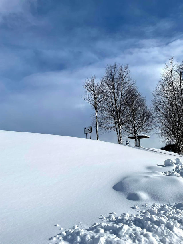 2 Days in Sapporo: A Winter Wonderland Adventure