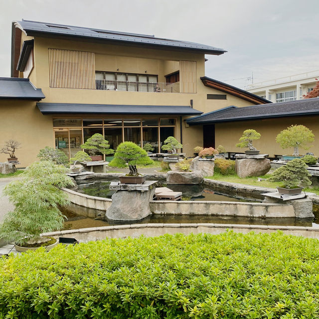 🌳都会の気軽に行ける盆栽庭⛲️