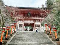 《比叡山的靜謐之旅：在848米的高處尋找心靈的安寧》
