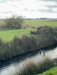 Stepping Back in Time – My Journey Through the Ancient Charm of Rye, England