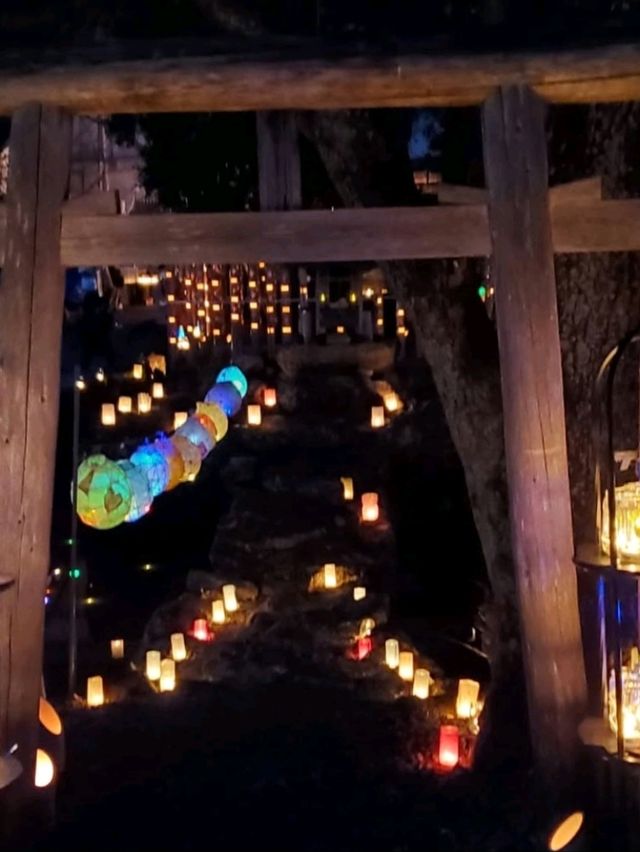 ロマンあふれる幻想的な竹灯り