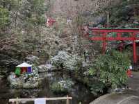 Winter with Nanzoin temple