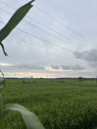 Yogyakarta & Solo: A Journey Through Culture and Nature
